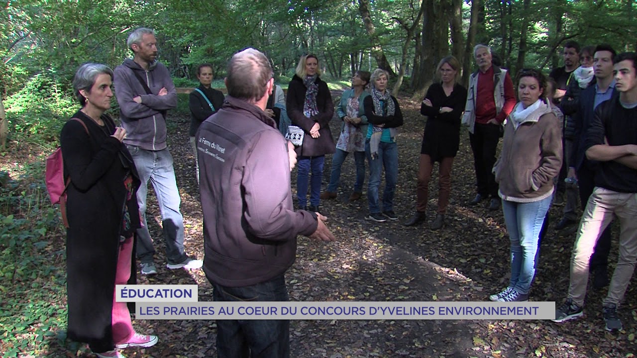 yvelines-environnement-nouveau-concours-proteger-leco-systeme