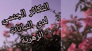 درس مكونات الجهاز التكاثري عند النباتات ذات الأزهار  🌹(السنة 2 متوسّط)