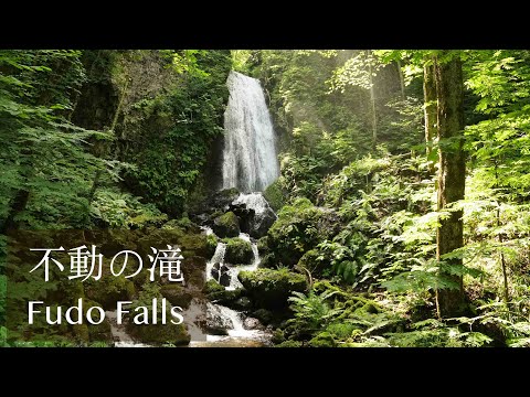 岩手県八幡平市【不動の滝】2020   - Fudo Falls in Iwate prefecture