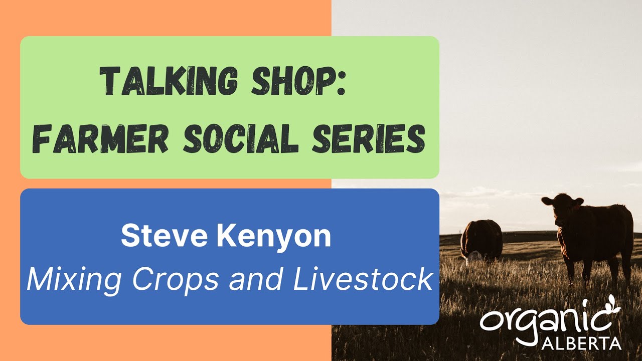 Talking Shop with Steve Kenyon Mixing Crops and Livestock YouTube