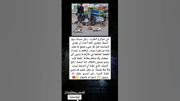 في شوارع المغرب رجل بسيط يبيع السمك ليعيش لكنه اختار أن 