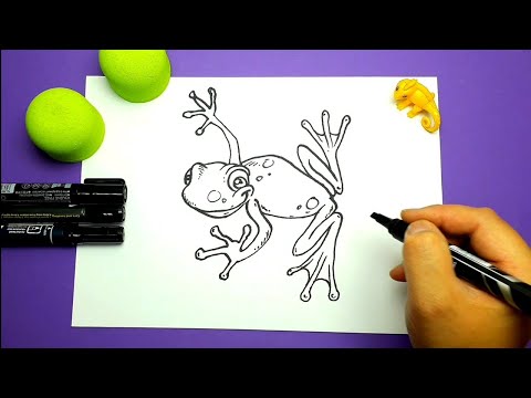 Kako Nacrtati Zabu Gatalinku. / DIY How to Draw a Tree Frog.