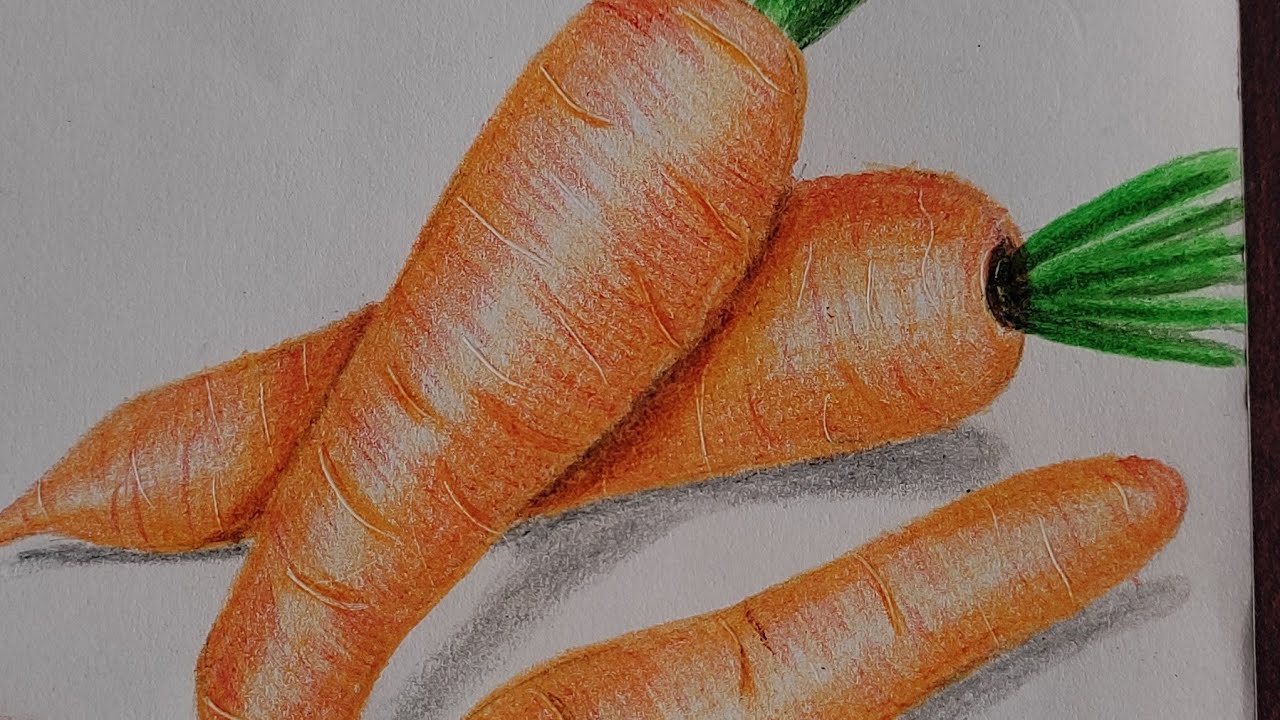 Chiaroscuro Art Style Carrot Graphics: High-Res 4K & Vector – IMAGELLA