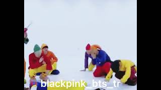 Kedimi Çaldılar Bts