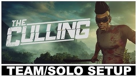 HOW TO GO PRO (The Culling) TEAM/SOLO SETUP GUIDE (Revision #89012)