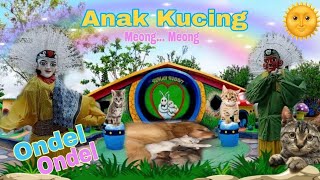 ONDEL ONDEL JOGET ANAK KUCING | LAGU ANAK KUCING MEONG MEONG | LAGU VIRAL