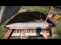 Playing Jiyuu no Tsubasa on Piano in Rust