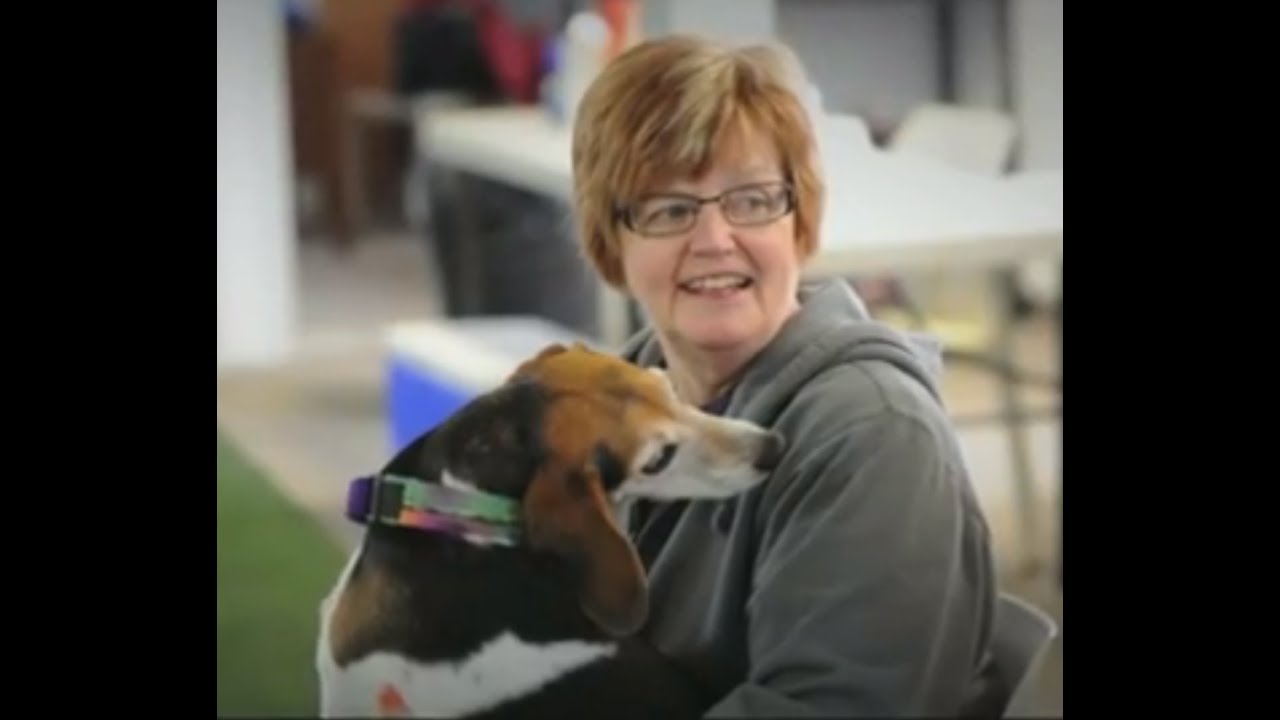 Dog Agility Snooker Clinic And Fun Match Feb 26th 2012 YouTube dog-agility-snooker-clinic-and-fun-match-feb-26th-2012-youtube