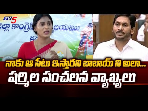 YS Sharmila Reveals Shocking Facts About YS Viveka Case | CM Jagan | AP Elections 2024 | Tv5 News - TV5NEWS