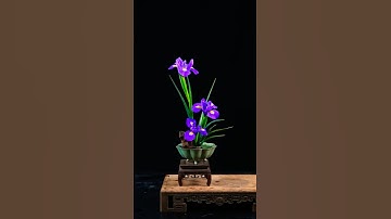 Iris Flower Arrangement Tutorial – The Art of Ikebana #flowerarrangement #ikebana #flowers #tutorial
