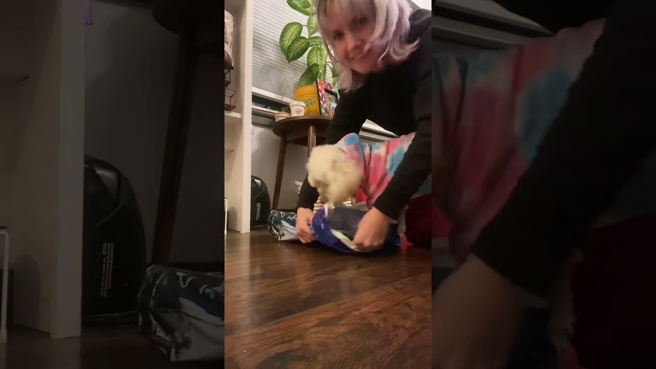 Disneyland has something for everyone… Even my dog! 