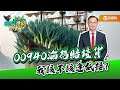 00940也破發了，我現在該進場嗎?!｜黃世聰-聰明理財大小世｜品觀點