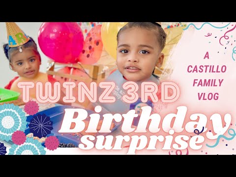 The Castillo Twinz 3rd Birthday Party! | Jan 28th Vlog