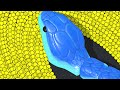 Snake Clash! .io - MAX LEVEL Gameplay! NEW GAME! #snakeclash 