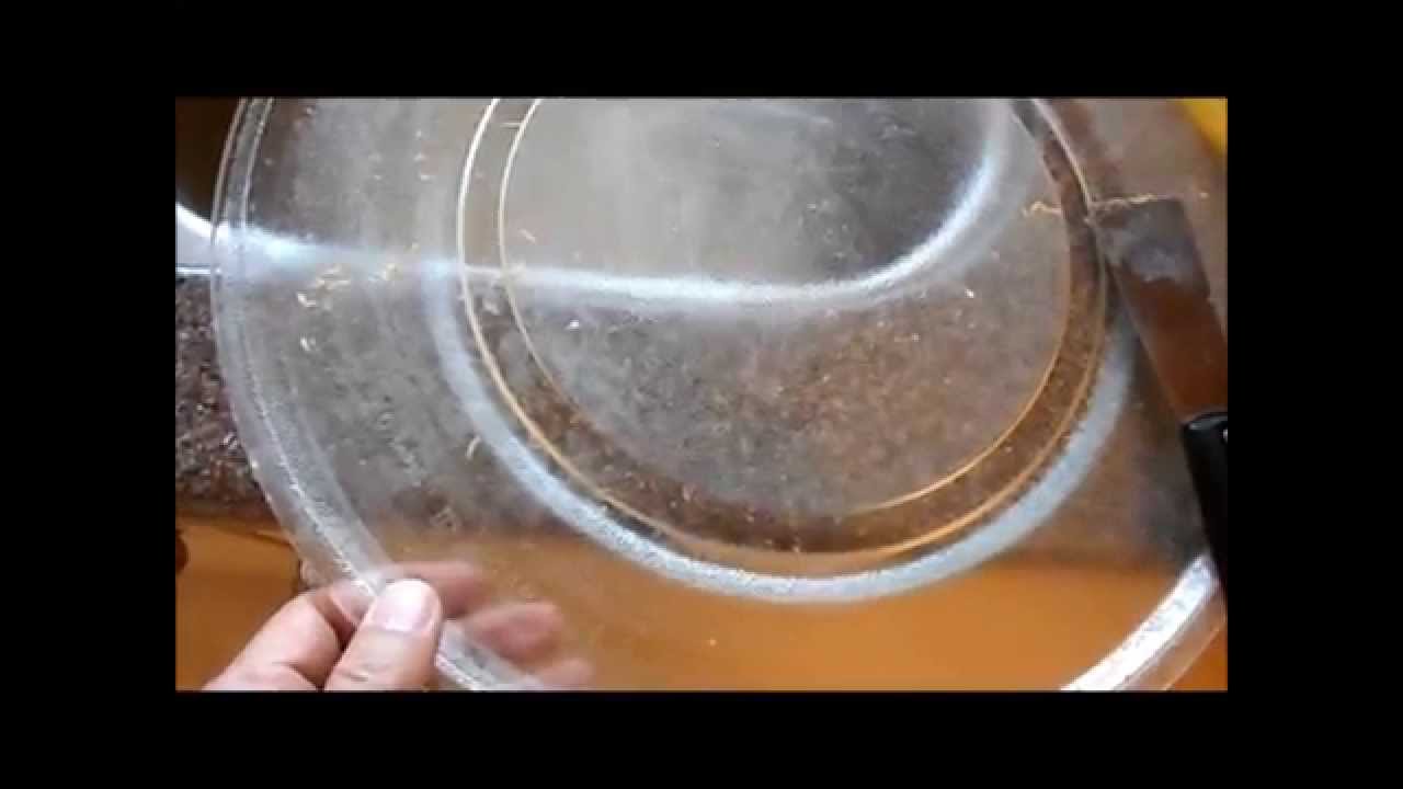 Microwave glass tray cleaning - quick and cheap - YouTube