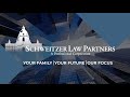 Schweitzer law partners  a year in review 2022