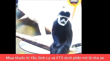 Lê Văn Lâm Lồng Tiếng - Mới Sáng Ghiền Rượu Cái Chân Run Run