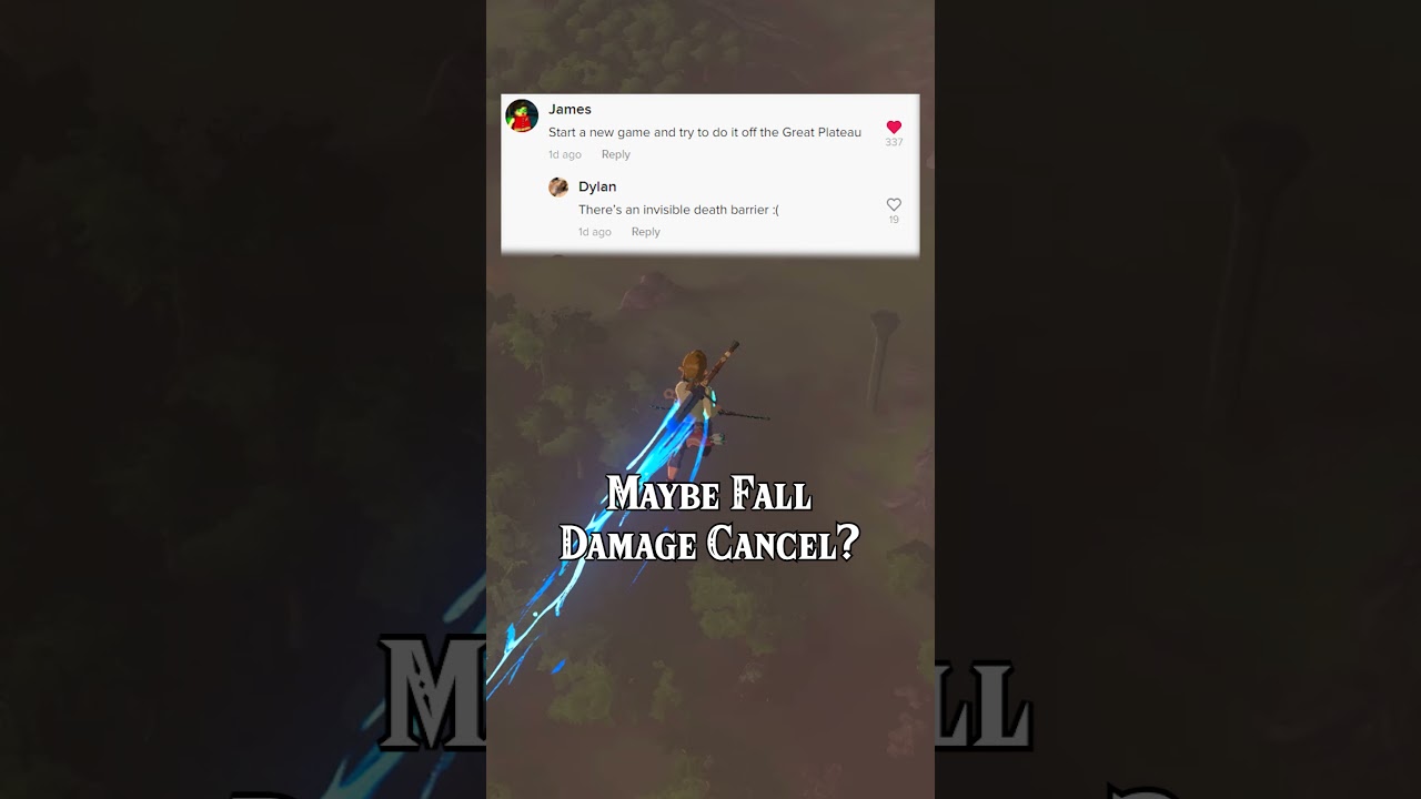 Can You Leave the Great Plateau Using the Flying/Bow Lift Smuggling Glitch?