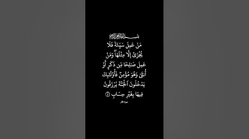 سورة غافر القارئ #سعد_الغامدي