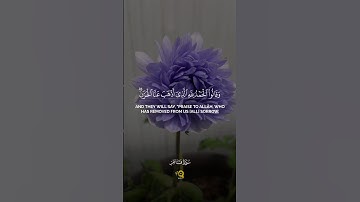 تلاوة هادئة من سورة فاطر للقارئ محمد الفقيه 💗✨ - أرح قلبك 🎧😍