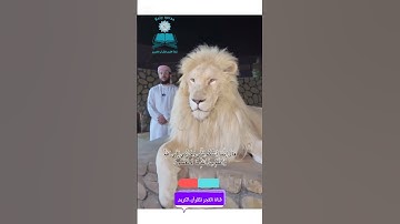 ﴿ قَالَ إِنَّمَا أَشْكُو بَثِّي وَحُزْنِي إِلَى اللَّهِ ... 🌟 تلاوة اسلام صبحى 🌟 سورة يوسف