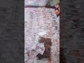 احنا الصعيد ميهمناش حاااااجه