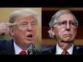 'Coward': Mitch McConnell shamed over 'spineless' response to wife attack by Trump