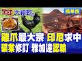 印尼總統修訂鎳礦配額!產能過剩急求中國"吃下巨量雞爪"!離了中資印尼經濟活不下去?|【全球大視野】精華版 @全球大視野Global_Vision