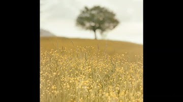 YVDB 89 - Lazy Sunday (So Fancy) [Extended]