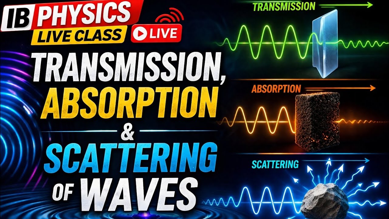 Transmission, Absorption & Scattering of Waves | IB Physics Online ...