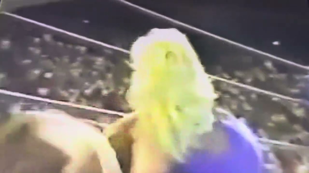 Classic Women’s Wrestling