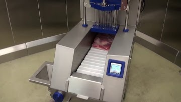 Bacon | Günther PI 17 – PI 21M/26M/52M – PIH 57M | Precipak