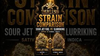 Sour Jet Fuel vs Slurriking: Which Strain Wins?
