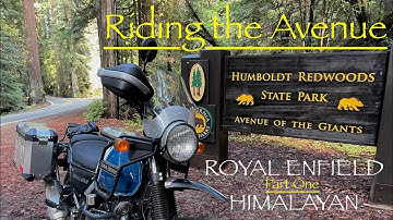 Part 1, Avenue of the Giants: Humboldt Redwoods State Park| California Redwoods ADV Ep13