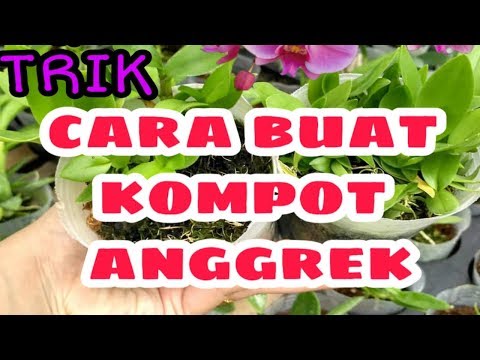 Video: Cara Membuat Kompot