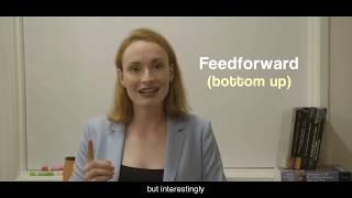 Introduction to Brain and Consciousness 2.2 - Feedforward and Feedback Connections