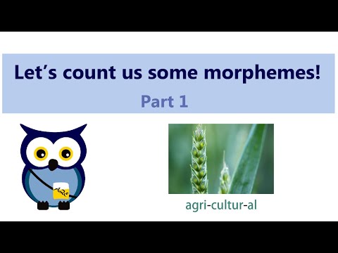 Video: Kaip skaičiuojate morfemas?