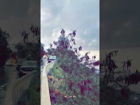 كثر من الهيل يا مبهر الدلة فيفاء