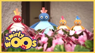 Twirlywoos Türkçe | Döndürme | Sezon 1 Bölüm 30 | Çocuklar İçin Çizgi Filmler