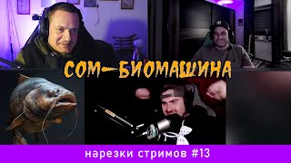 БИОМАШИНА: Почему я фанатею от СОМА и его ловли. Нарезки стримов #13 by Vitali Dalke - рыбалка на сома 2,163 views 2 months ago 9 minutes, 17 seconds