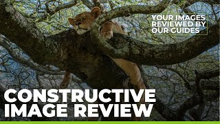 IMAGE REVIEW | Southern Serengeti
