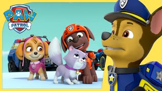 Chase Saves the Royal Kitties +More Cartoons for Kids 😺 | PAW Patrol