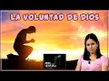 La voluntad de Dios - Abre Una Ventana