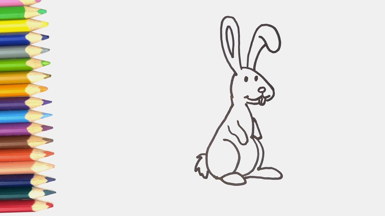 Cómo Dibujar una Liebre Conejo Fácil - thptnganamst.edu.vn