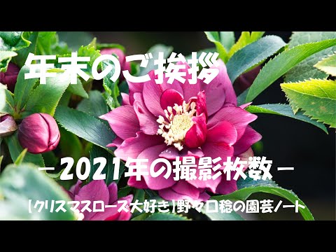 VLOGシリーズ 2021.12.31（年末のご挨拶）