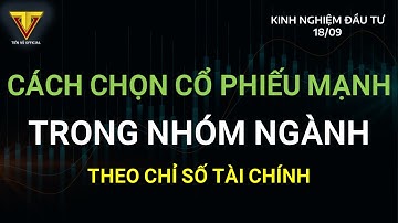 Kinh nghiệm Đầu tư 18/09 | Cách chọn Cổ phiếu MẠNH trong nhóm ngành theo Chỉ số Tài chính