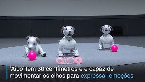 Sony apresenta nova versão de seu cão robô