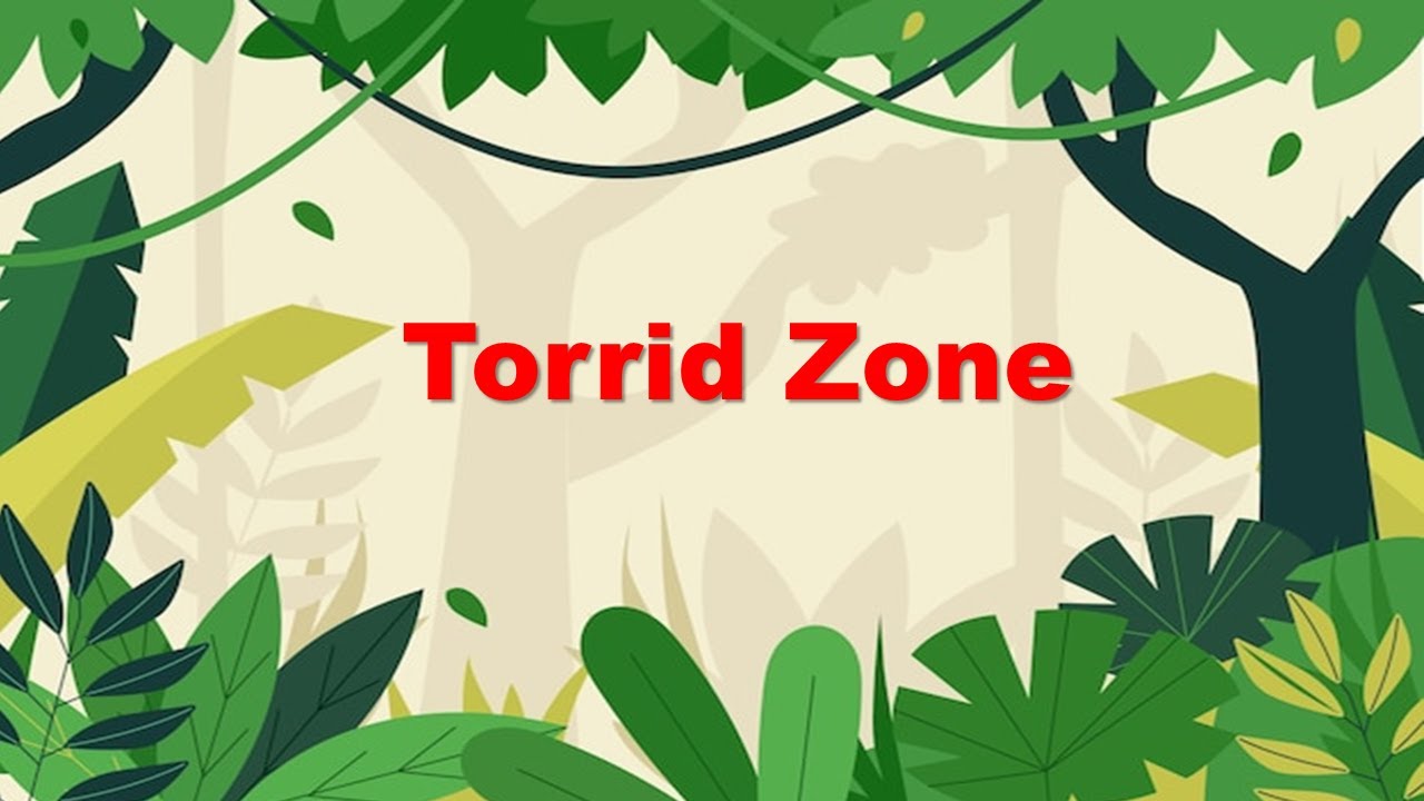 Torrid Zone l Temperature Zone of Earth l Equatorial Rain forest l Tropical  Dessert l Class 5 - YouTube