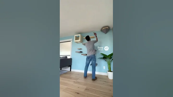 Video 11551841: funny cat cartoon animals