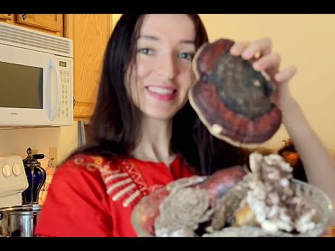 Vídeo: Como Preparar O Cogumelo Chaga